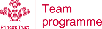 prince's trust team programme Logo